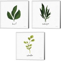 Framed 'Herbs 3 Piece Canvas Print Set' border=