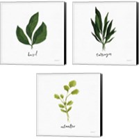 Framed Herbs 3 Piece Canvas Print Set