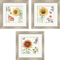 Framed 'Sunflower Splendor 3 Piece Framed Art Print Set' border=