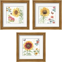 Framed 'Sunflower Splendor 3 Piece Framed Art Print Set' border=