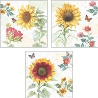 Framed 'Sunflower Splendor 3 Piece Art Print Set' border=