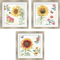 Framed 'Sunflower Splendor 3 Piece Framed Art Print Set' border=