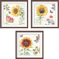 Framed 'Sunflower Splendor 3 Piece Framed Art Print Set' border=