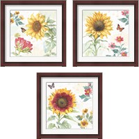 Framed 'Sunflower Splendor 3 Piece Framed Art Print Set' border=