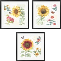 Framed Sunflower Splendor 3 Piece Framed Art Print Set