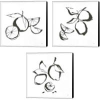 Framed 'Black & White Fruit 3 Piece Canvas Print Set' border=