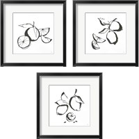 Framed Black & White Fruit 3 Piece Framed Art Print Set