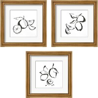 Framed Black & White Fruit 3 Piece Framed Art Print Set