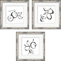 Framed Black & White Fruit 3 Piece Framed Art Print Set