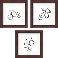 Framed Black & White Fruit 3 Piece Framed Art Print Set