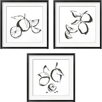 Framed 'Black & White Fruit 3 Piece Framed Art Print Set' border=