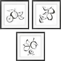 Framed Black & White Fruit 3 Piece Framed Art Print Set