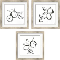 Framed Black & White Fruit 3 Piece Framed Art Print Set