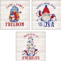 Framed 'Patriotic Gnomes 3 Piece Art Print Set' border=