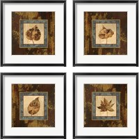 Framed 'Autumn Leaf 4 Piece Framed Art Print Set' border=