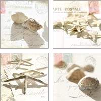 Framed 'Postal Shells 4 Piece Art Print Set' border=