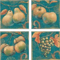 Framed Lovely Fruits 4 Piece Art Print Set