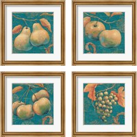 Framed 'Lovely Fruits 4 Piece Framed Art Print Set' border=