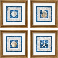 Framed Sea Shell on Blue 4 Piece Framed Art Print Set