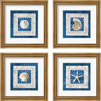 Framed Sea Shell on Blue 4 Piece Framed Art Print Set