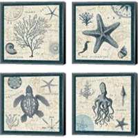 Framed 'Ocean Life 4 Piece Canvas Print Set' border=