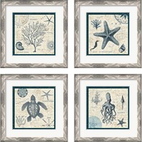 Framed 'Ocean Life 4 Piece Framed Art Print Set' border=