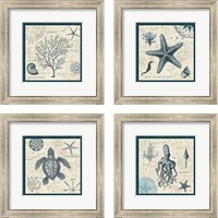 Framed Ocean Life 4 Piece Framed Art Print Set