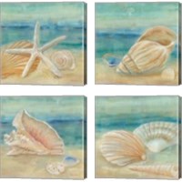 Framed Horizon Shells Square 4 Piece Canvas Print Set