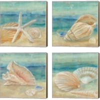 Framed 'Horizon Shells Square 4 Piece Canvas Print Set' border=