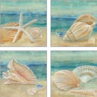 Framed Horizon Shells Square 4 Piece Art Print Set