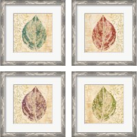 Framed 'Leaf Scroll 4 Piece Framed Art Print Set' border=