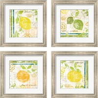 Framed 'Fruit Crush 4 Piece Framed Art Print Set' border=