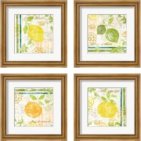 Framed Fruit Crush 4 Piece Framed Art Print Set