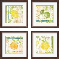 Framed 'Fruit Crush 4 Piece Framed Art Print Set' border=