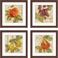 Framed 'Rustic Fruit 4 Piece Framed Art Print Set' border=