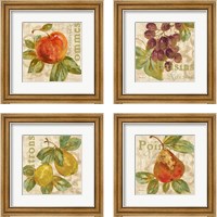 Framed 'Rustic Fruit 4 Piece Framed Art Print Set' border=