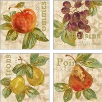 Framed Rustic Fruit 4 Piece Art Print Set