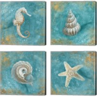 Framed 'Treasures from the Sea 4 Piece Canvas Print Set' border=