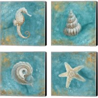 Framed Treasures from the Sea 4 Piece Canvas Print Set