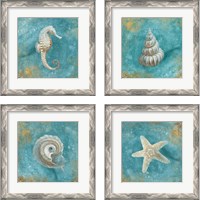 Framed 'Treasures from the Sea 4 Piece Framed Art Print Set' border=