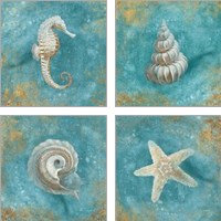 Framed Treasures from the Sea 4 Piece Art Print Set
