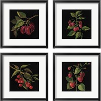 Framed 'Fruit no Words 4 Piece Framed Art Print Set' border=