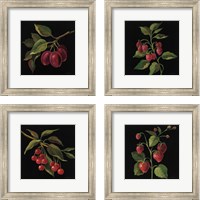 Framed 'Fruit no Words 4 Piece Framed Art Print Set' border=