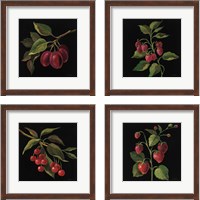 Framed 'Fruit no Words 4 Piece Framed Art Print Set' border=