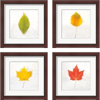 Framed Autumn Colors 4 Piece Framed Art Print Set