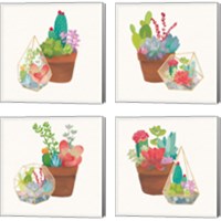 Framed 'Succulent Garden 4 Piece Canvas Print Set' border=