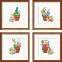 Framed 'Succulent Garden 4 Piece Framed Art Print Set' border=