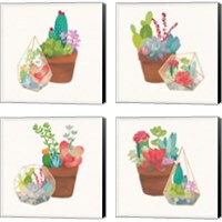 Framed 'Succulent Garden 4 Piece Canvas Print Set' border=