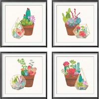 Framed Succulent Garden 4 Piece Framed Art Print Set