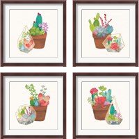 Framed 'Succulent Garden 4 Piece Framed Art Print Set' border=